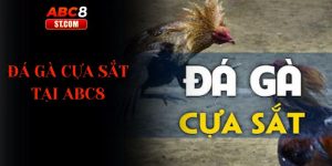 đá gà cựa sắt tại abc8