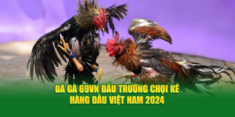 Các hình thức chơi đá gà 69VN hiện nay